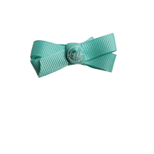 Aqua Snap Clip